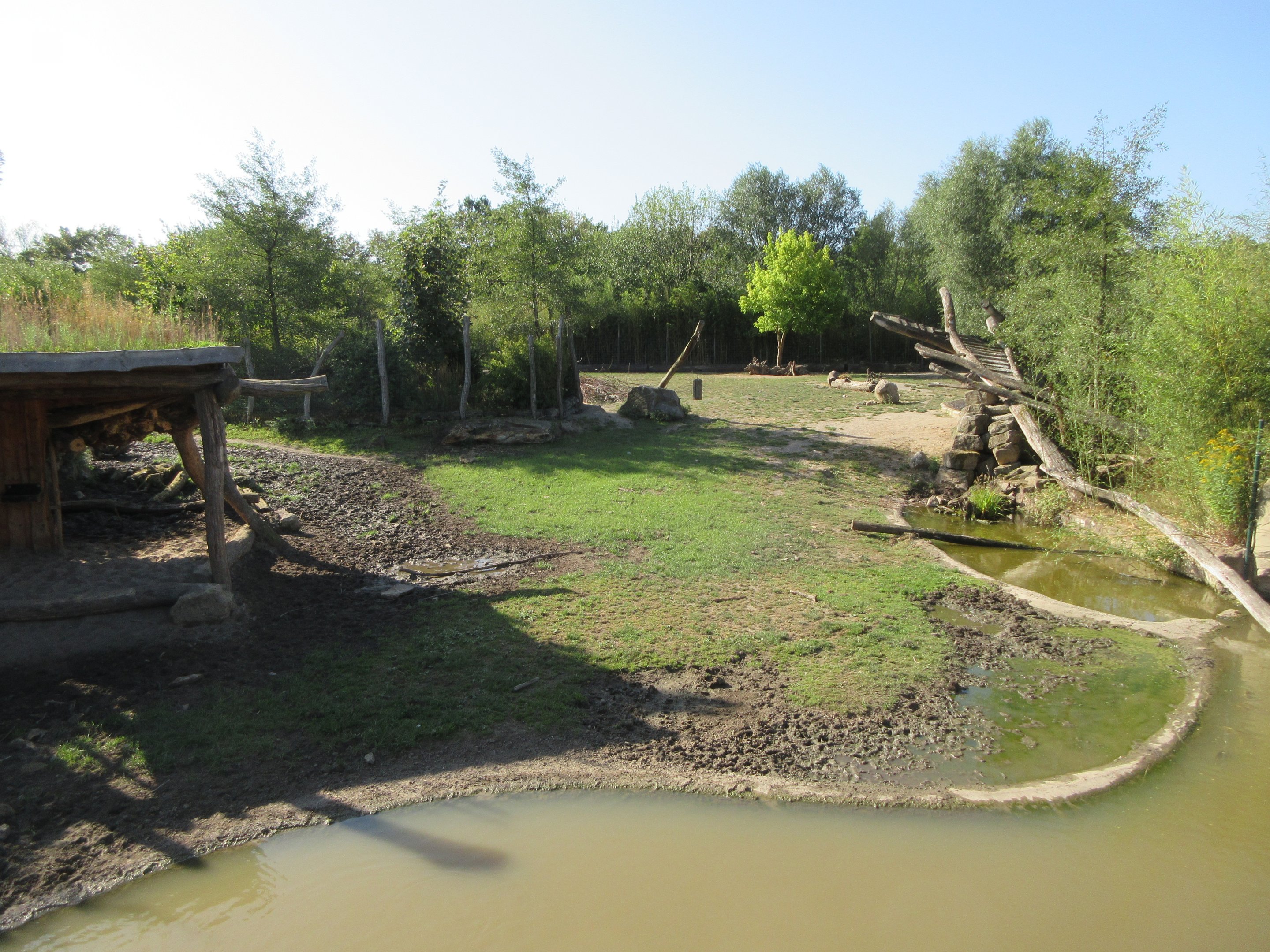 Takamanda - Bongo/Red River Hog/Impala Exhibit