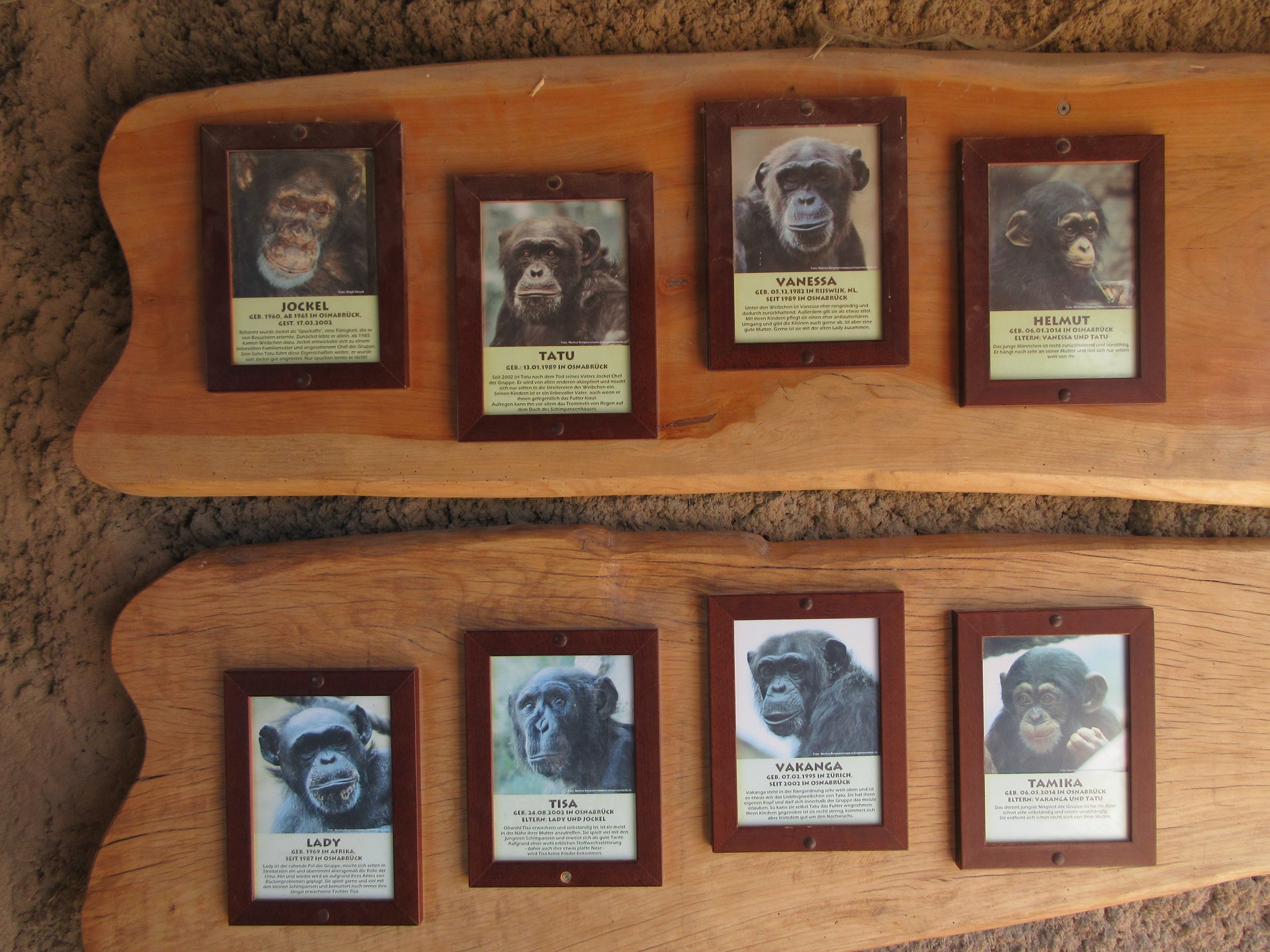 Takamanda - Chimpanzee Exhibit Signs