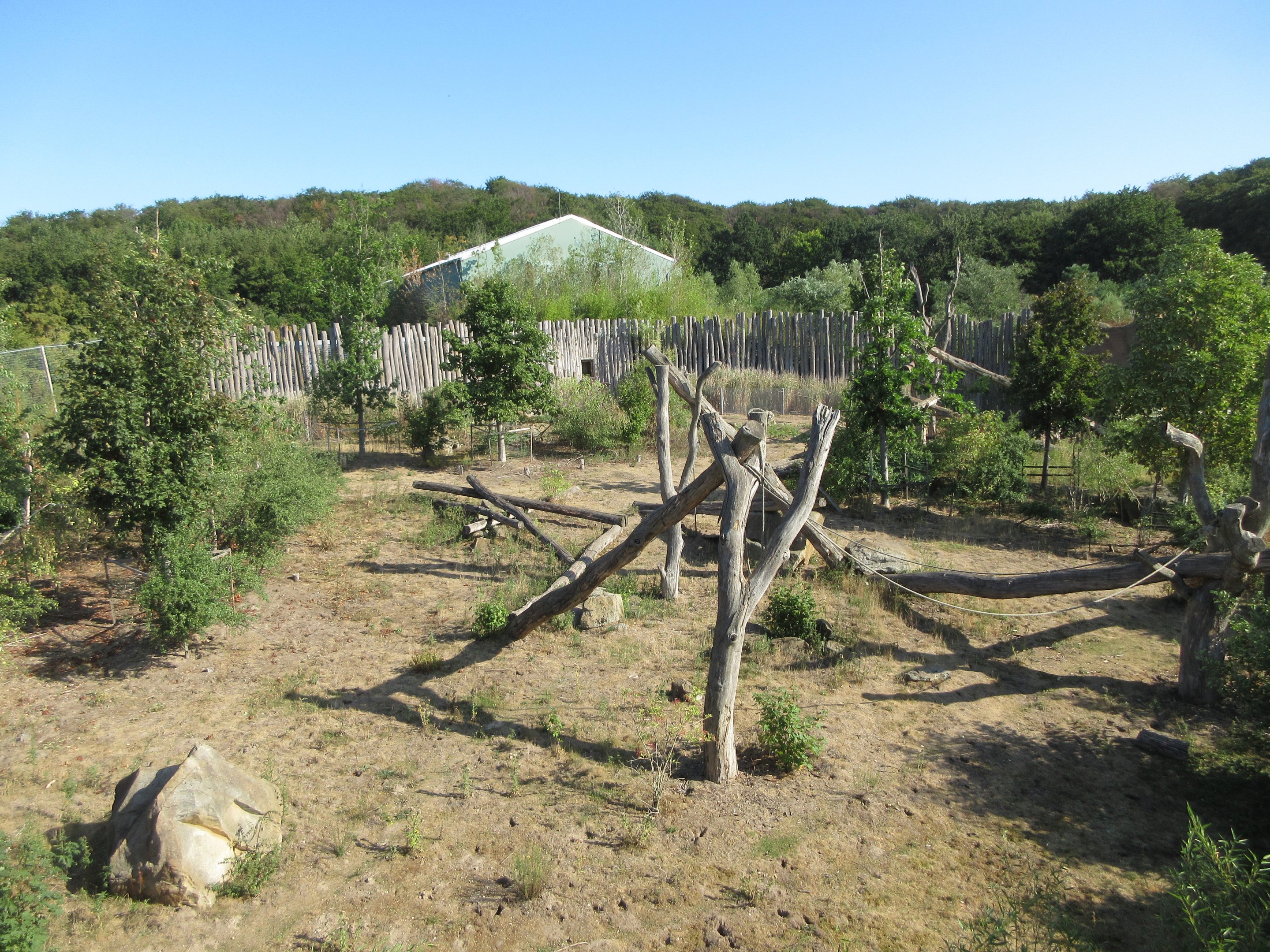Takamanda - Chimpanzee Exhibit