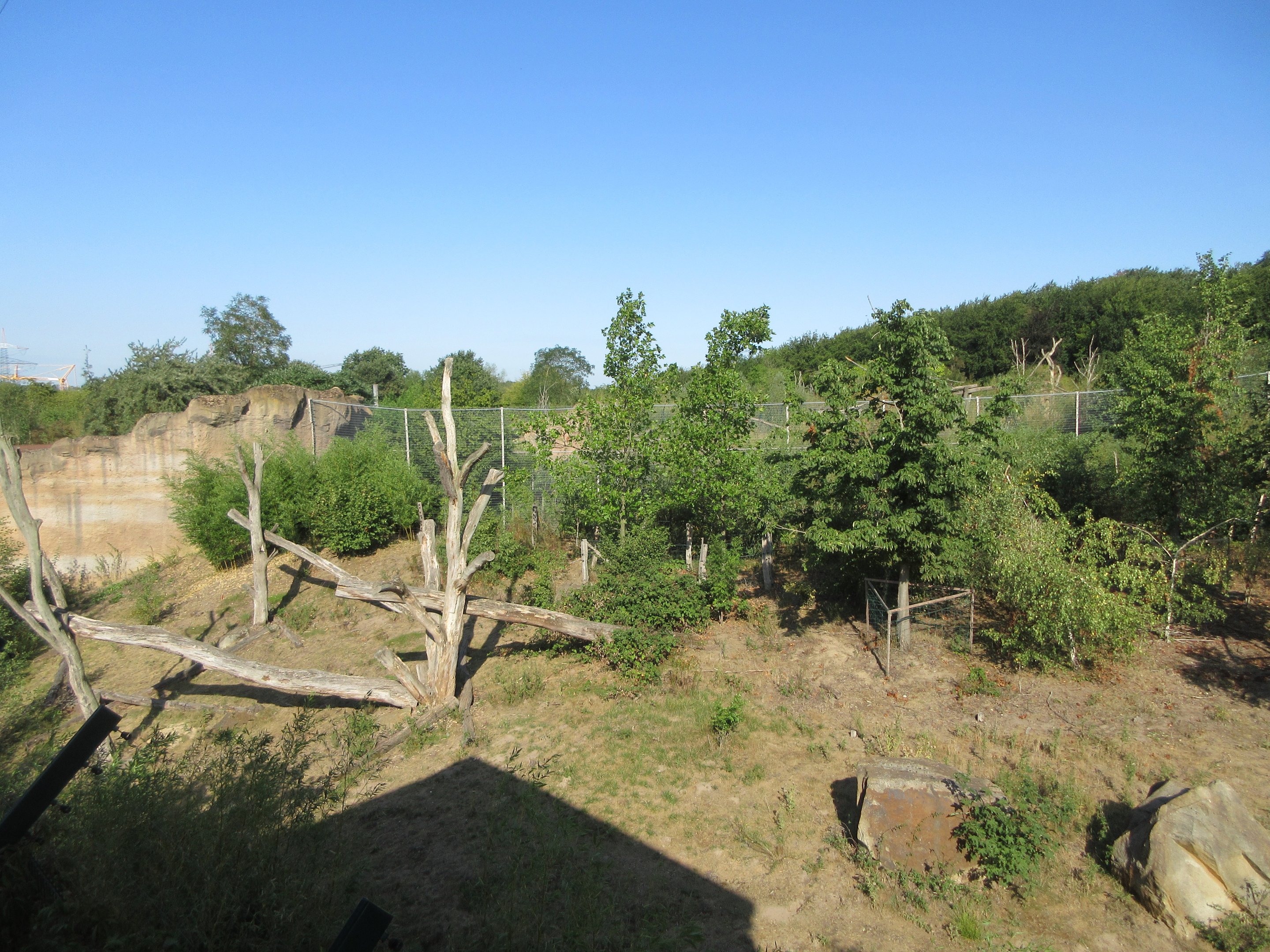 Takamanda - Chimpanzee Exhibit