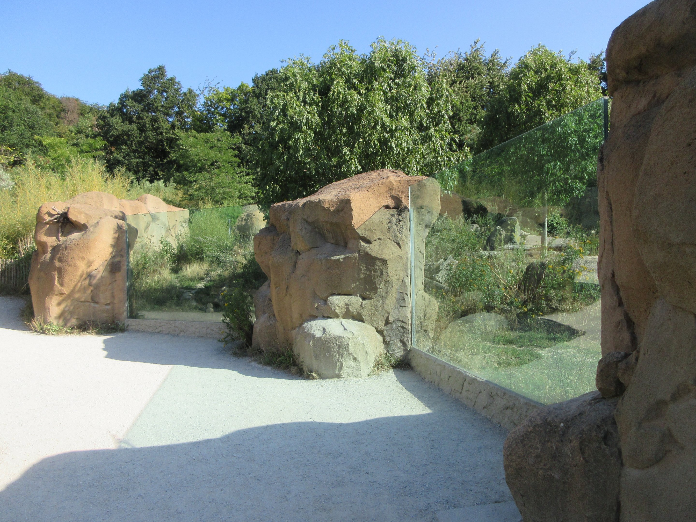 Takamanda - Spotted Hyena Exhibit