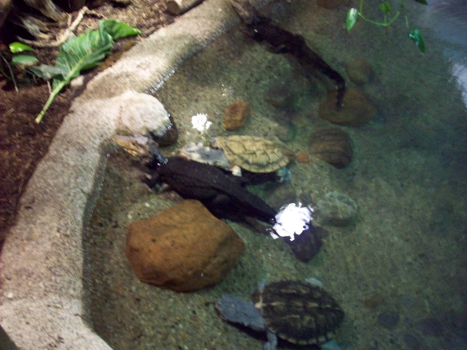 Take a shot before you get pushed away.