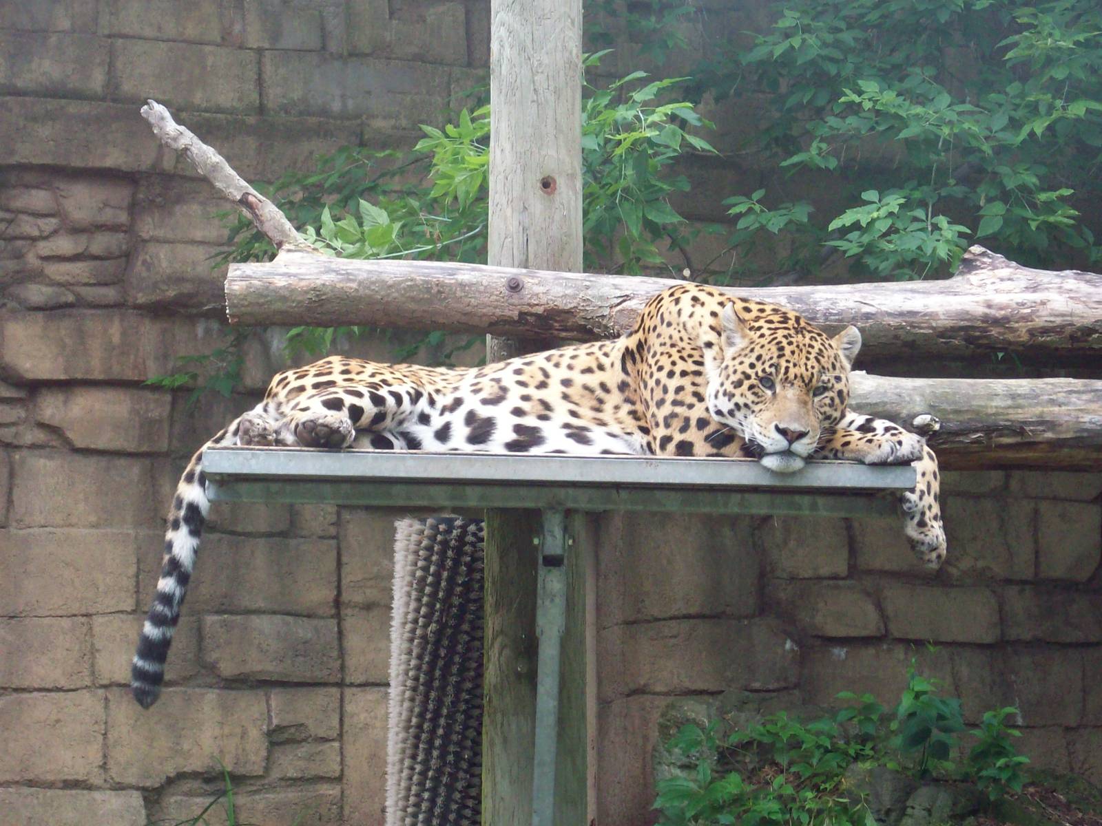 Take it easy, buddy.