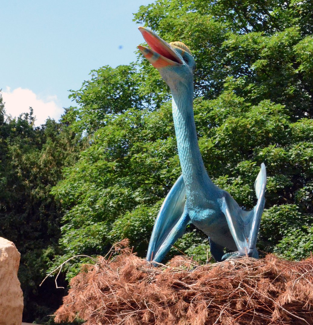 Taken in the Dinosaur Valley West midland safari park on 12 07 2017