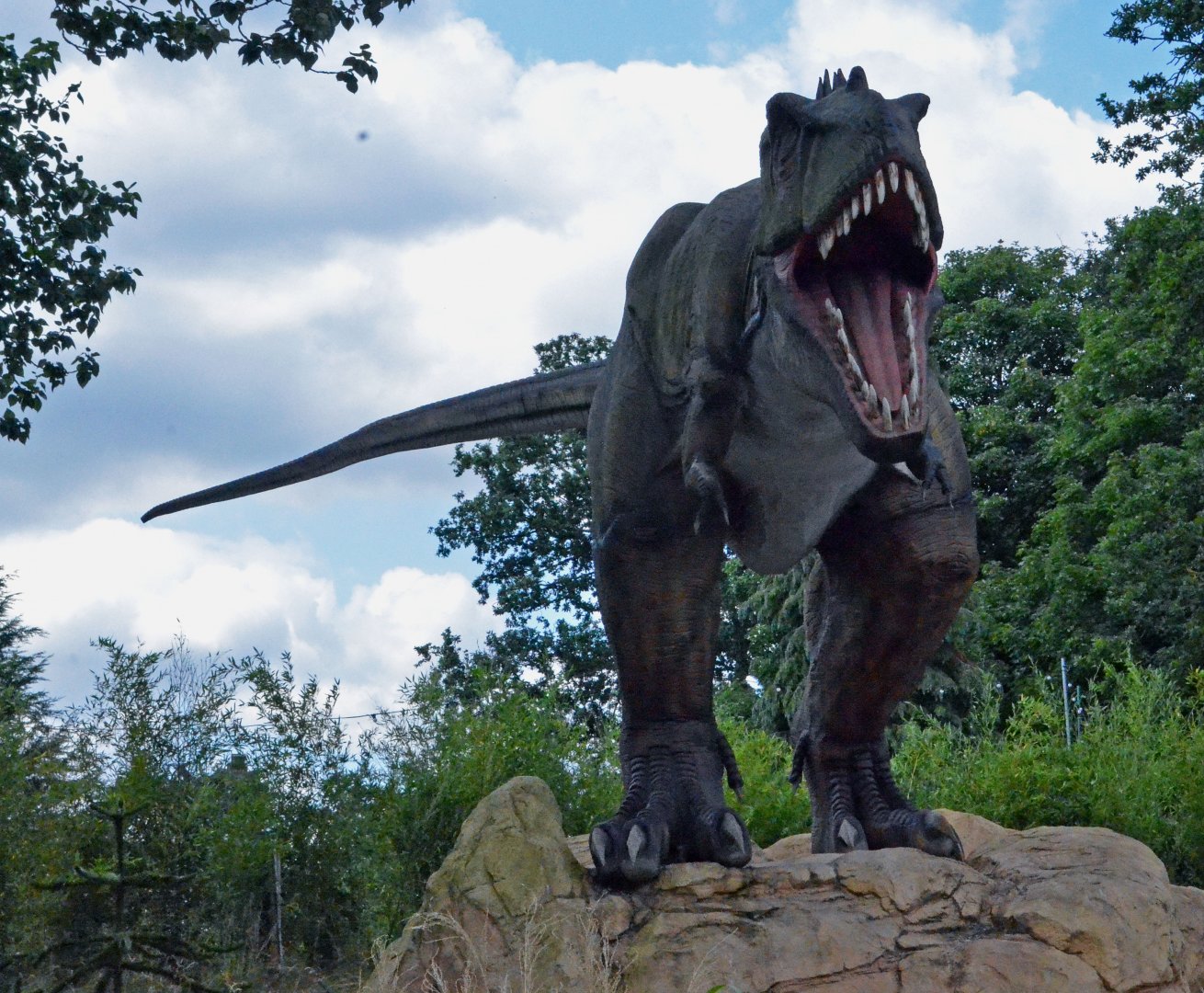 Taken in the Dinosaur Valley West midland safari park on 12 07 2017