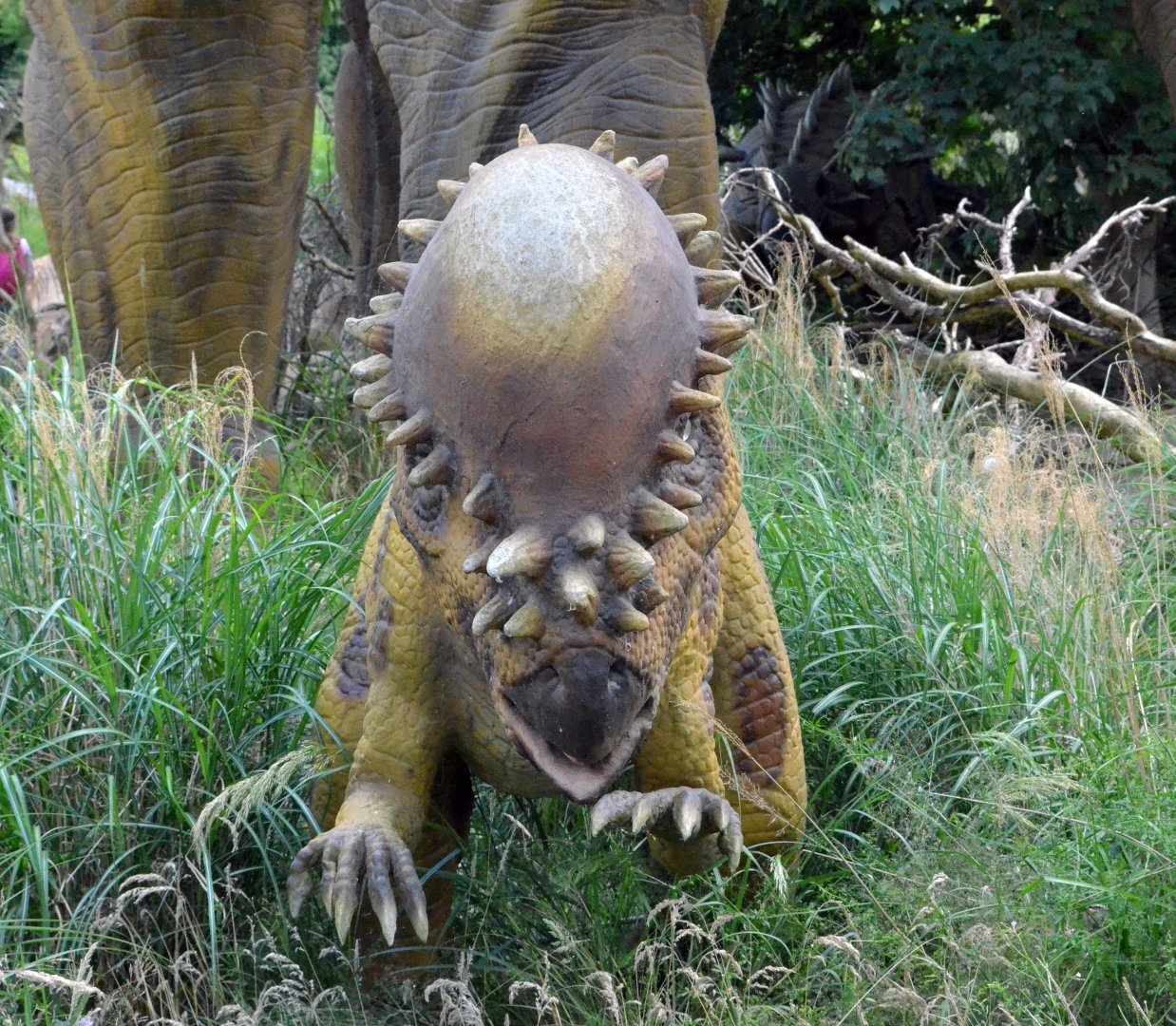 Taken in the Dinosaur Valley West midland safari park on 12 07 2017