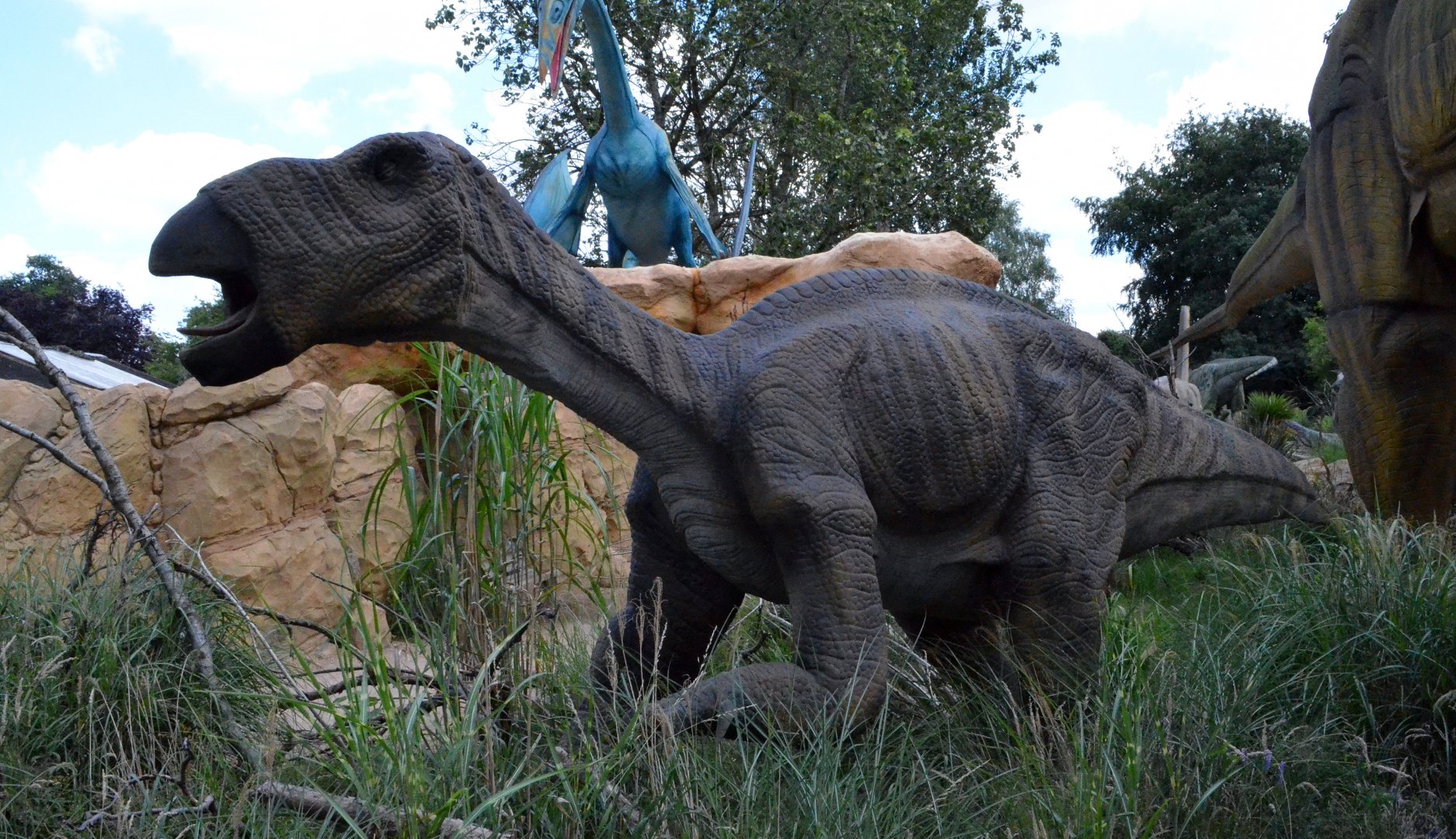 Taken in the Dinosaur Valley West midland safari park on 12 07 2017