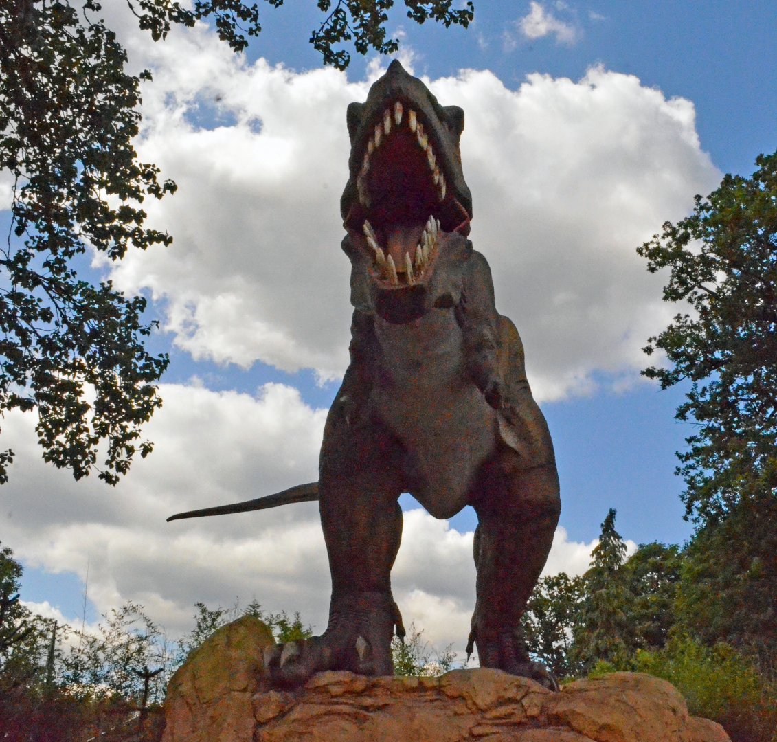 Taken in the Dinosaur Valley West midland safari park on 12 07 2017