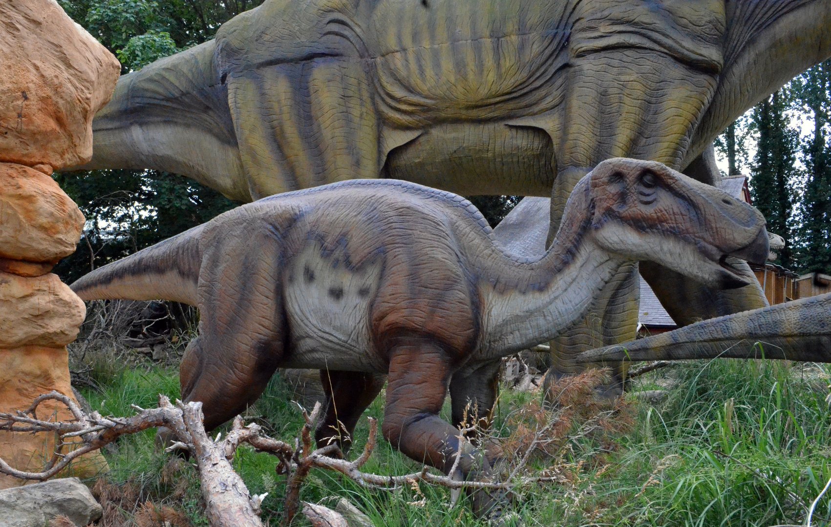 Taken in the Dinosaur Valley West midland safari park on 12 07 2017