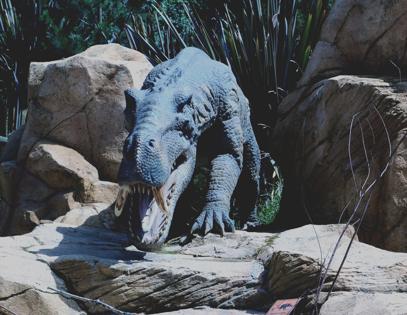 Taken in the Dinosaur Valley West midland safari park on 12 07 2017