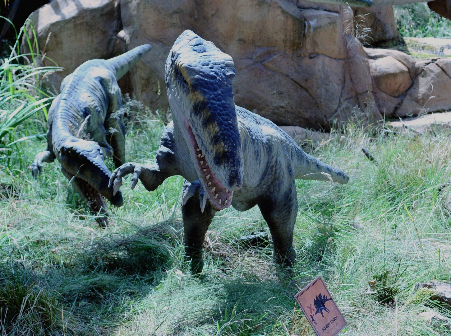 Taken in the Dinosaur Valley West midland safari park on 12 07 2017