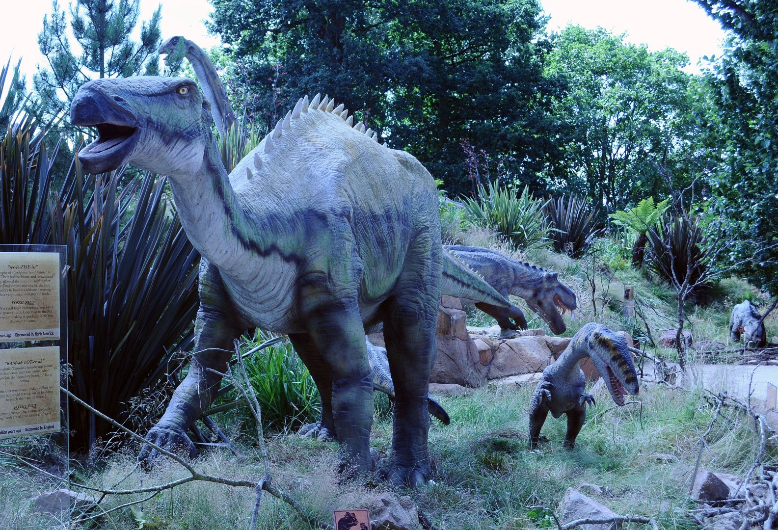 Taken in the Dinosaur Valley West midland safari park on 12 07 2017