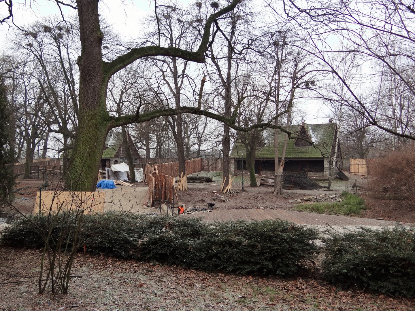 Takin and Alfred deer exhibits under reconstruction