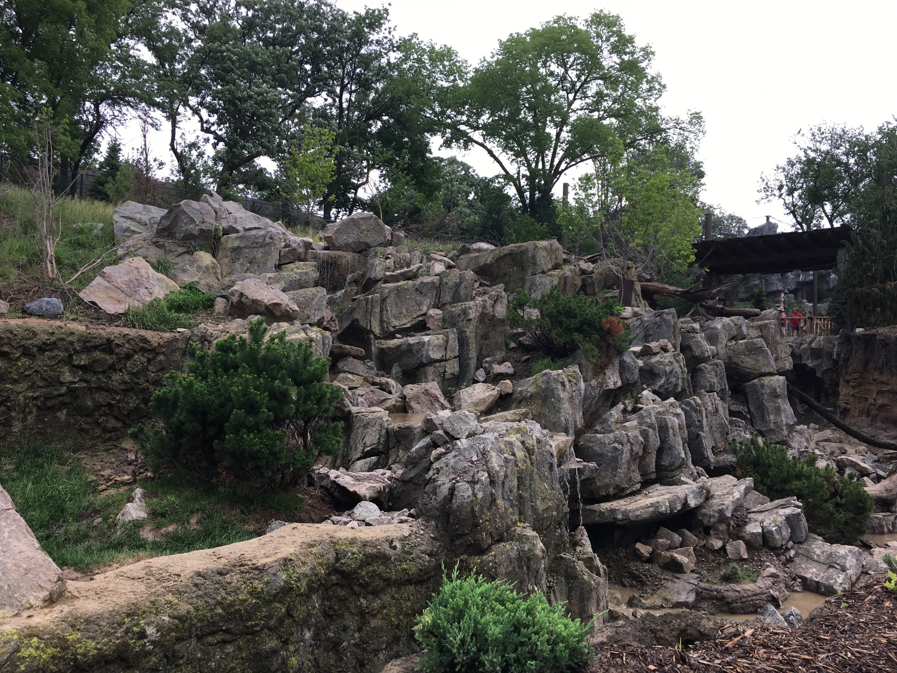 Takin and goral exhibit