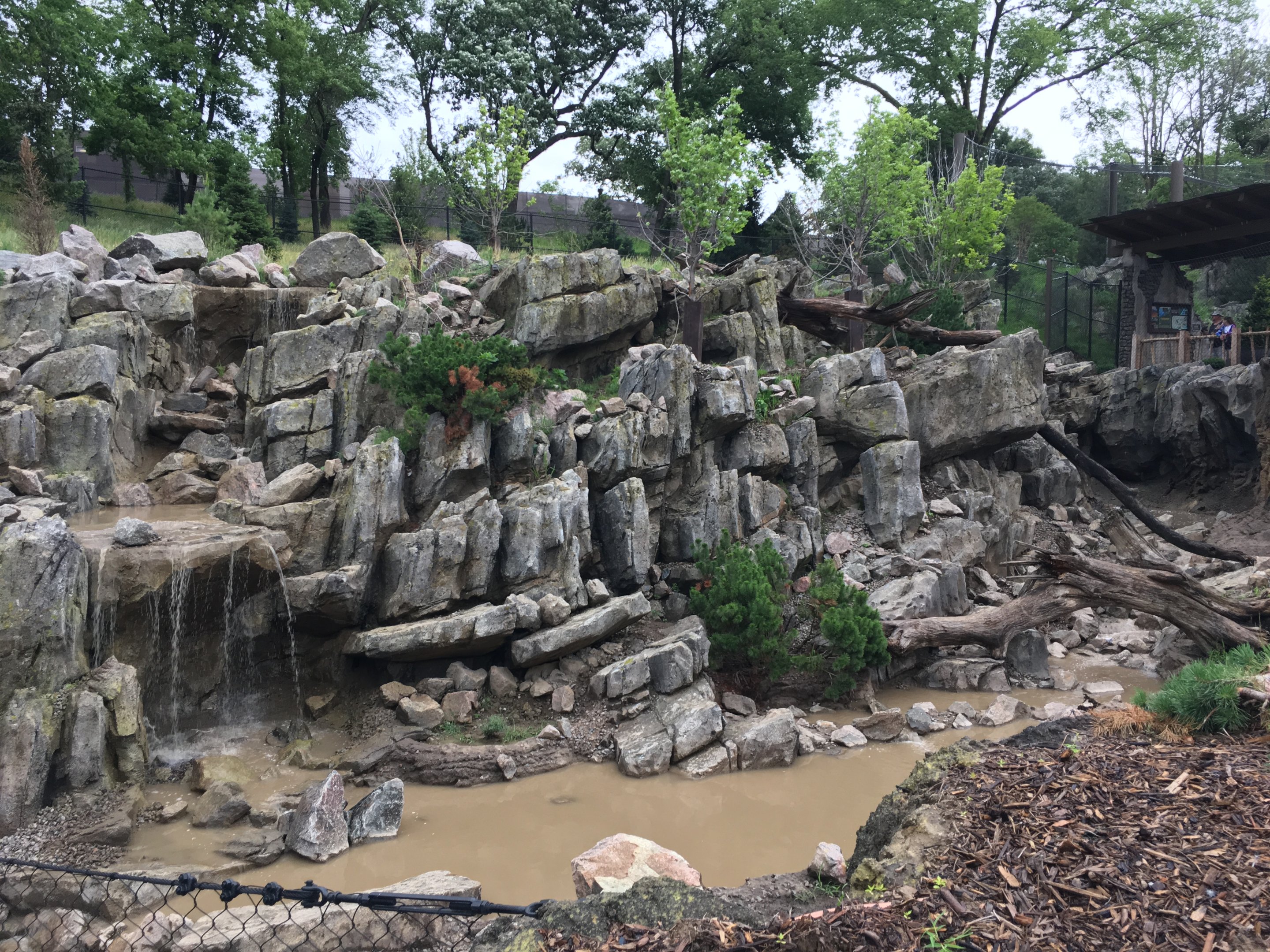 Takin and goral exhibit