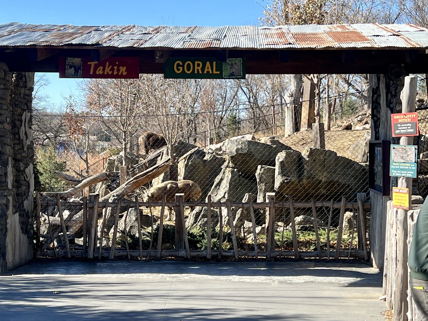 Takin and Goral Exhibit