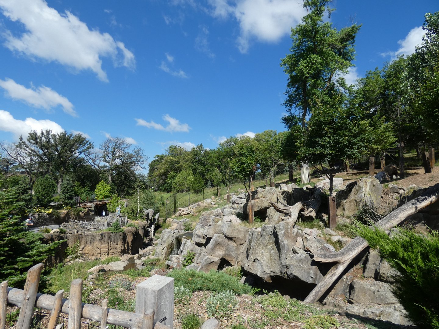 Takin and Long Tailed Goral Exhibit, Asian Highlands - Jun. 2021