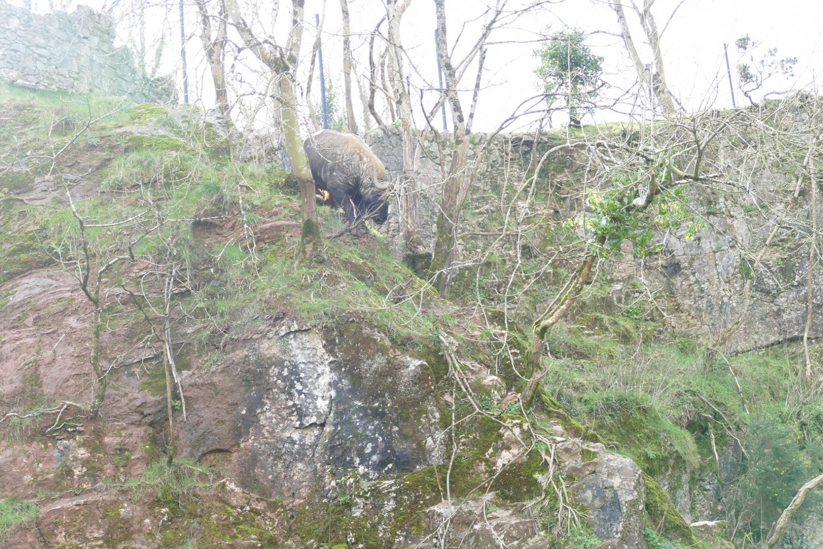 Takin Bros reach new heights, February 2020