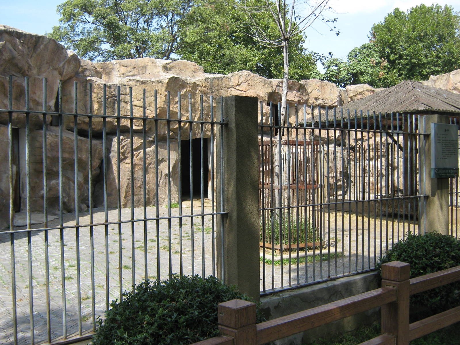 takin (Budorcas taxicolor) pen