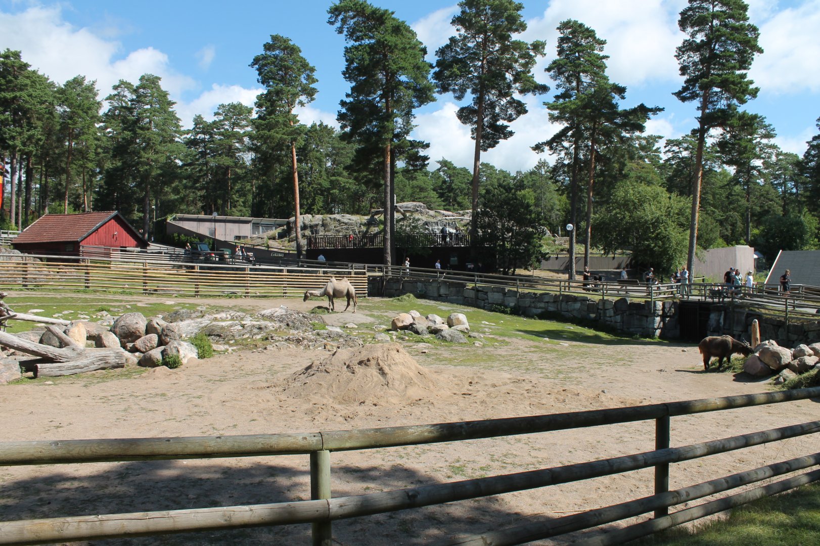Takin/Camel Enclosure
