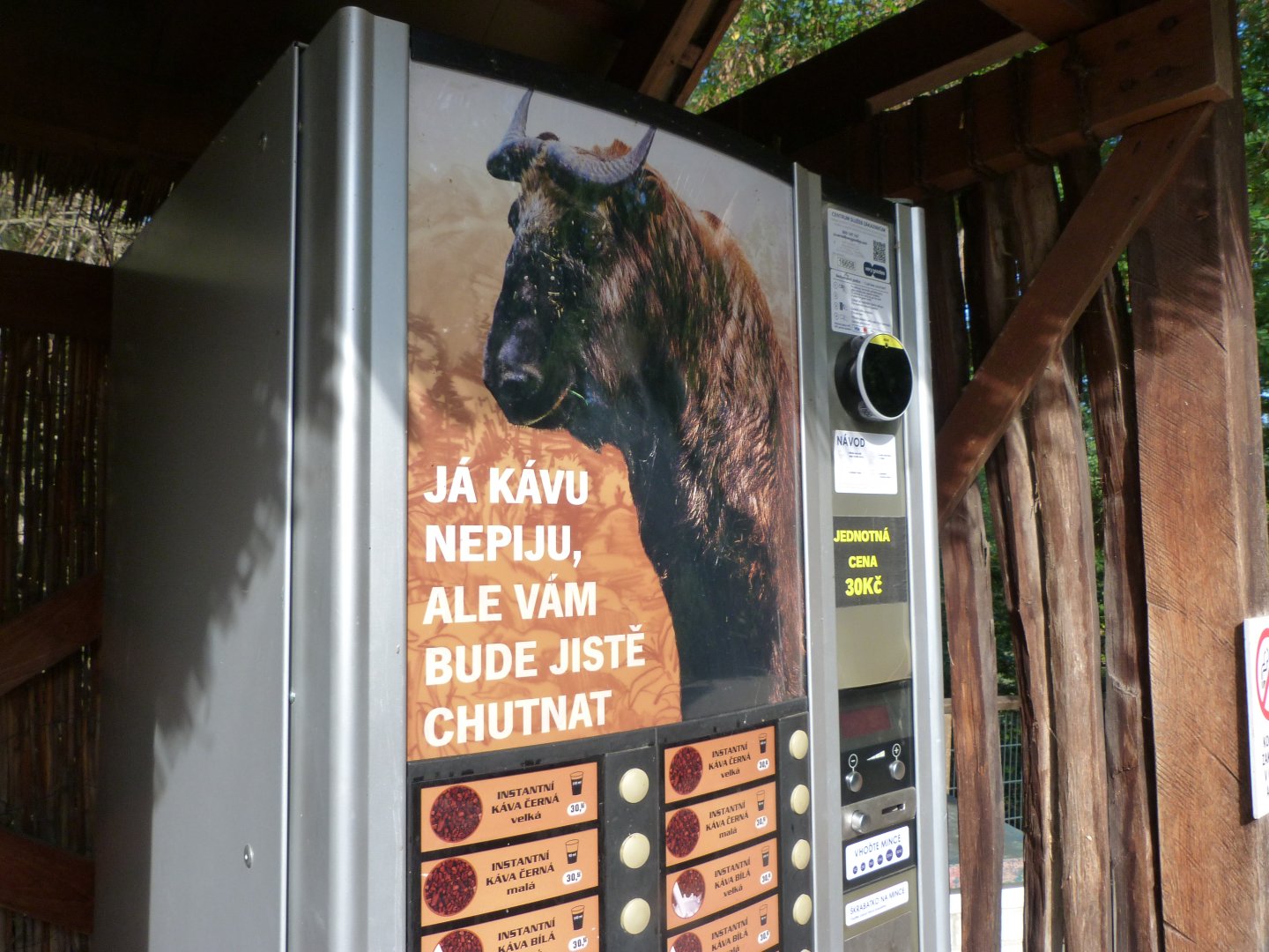 Takin coffee break -Zoo Praha (2025)
