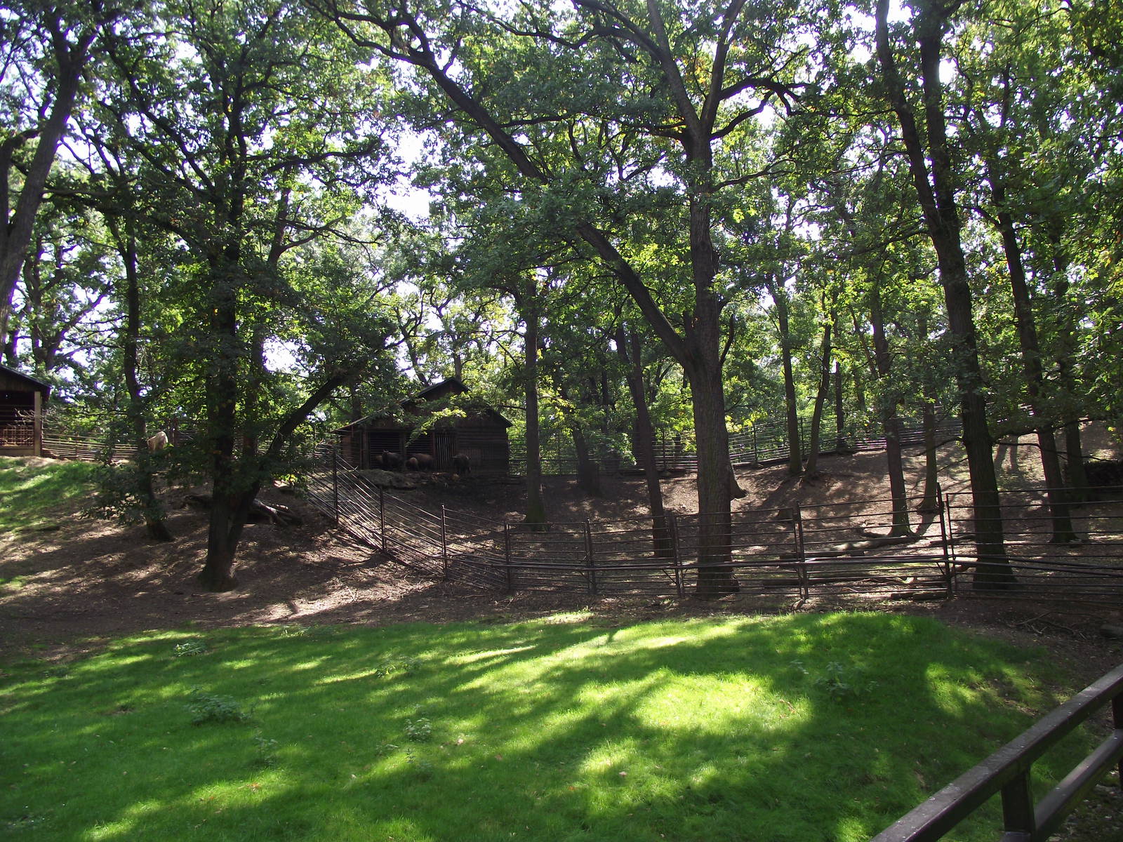 takin enclosure 160911