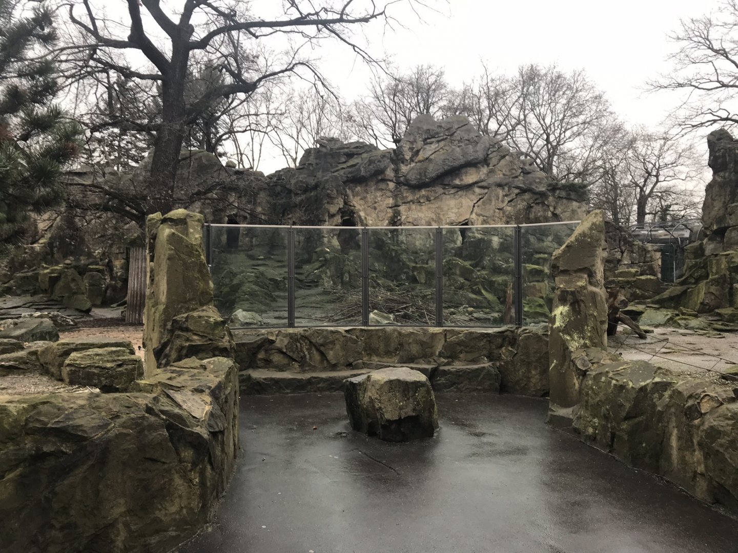 Takin enclosure 290118