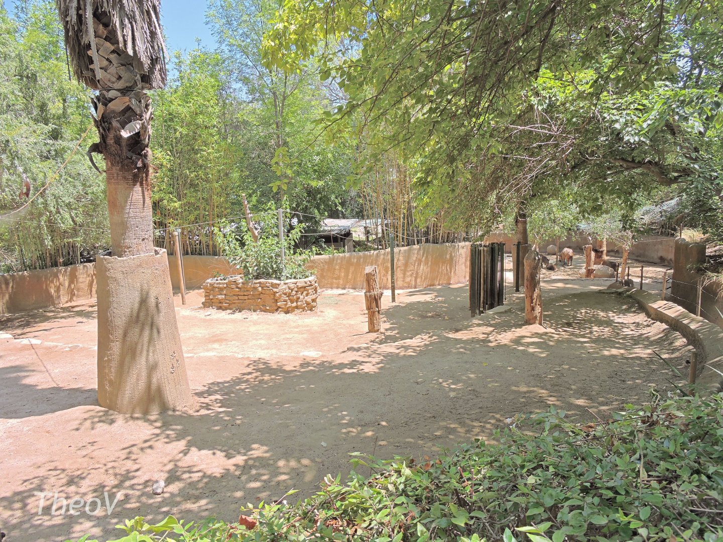 Takin exhibit [2015]