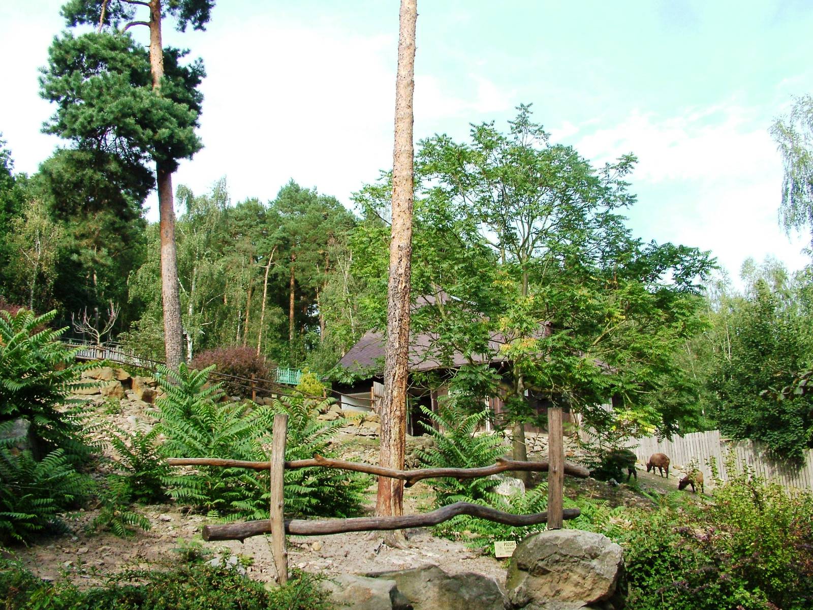 Takin Exhibit at Decin, 28/08/12