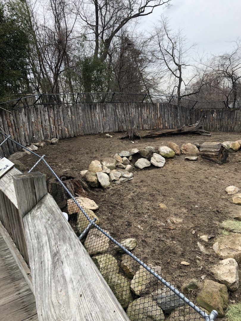 Takin Habitat (Left) - Feb, 2020