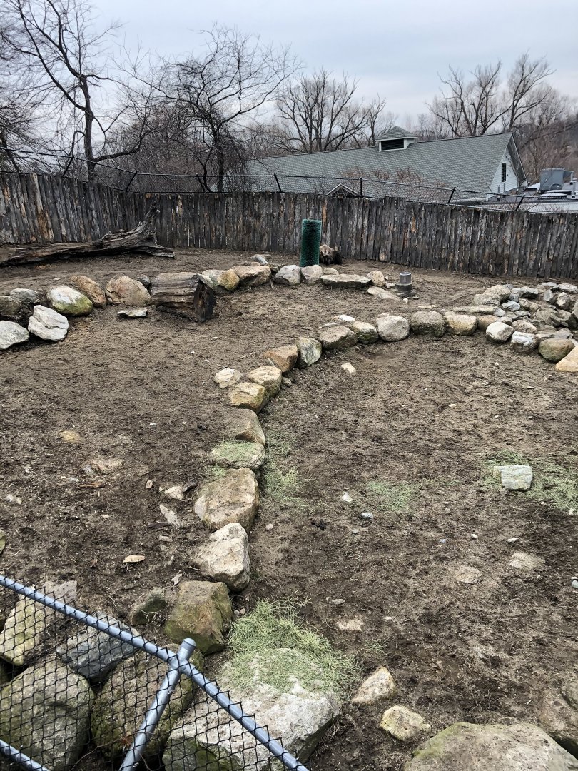 Takin Habitat (Mid Section) - Feb, 2020