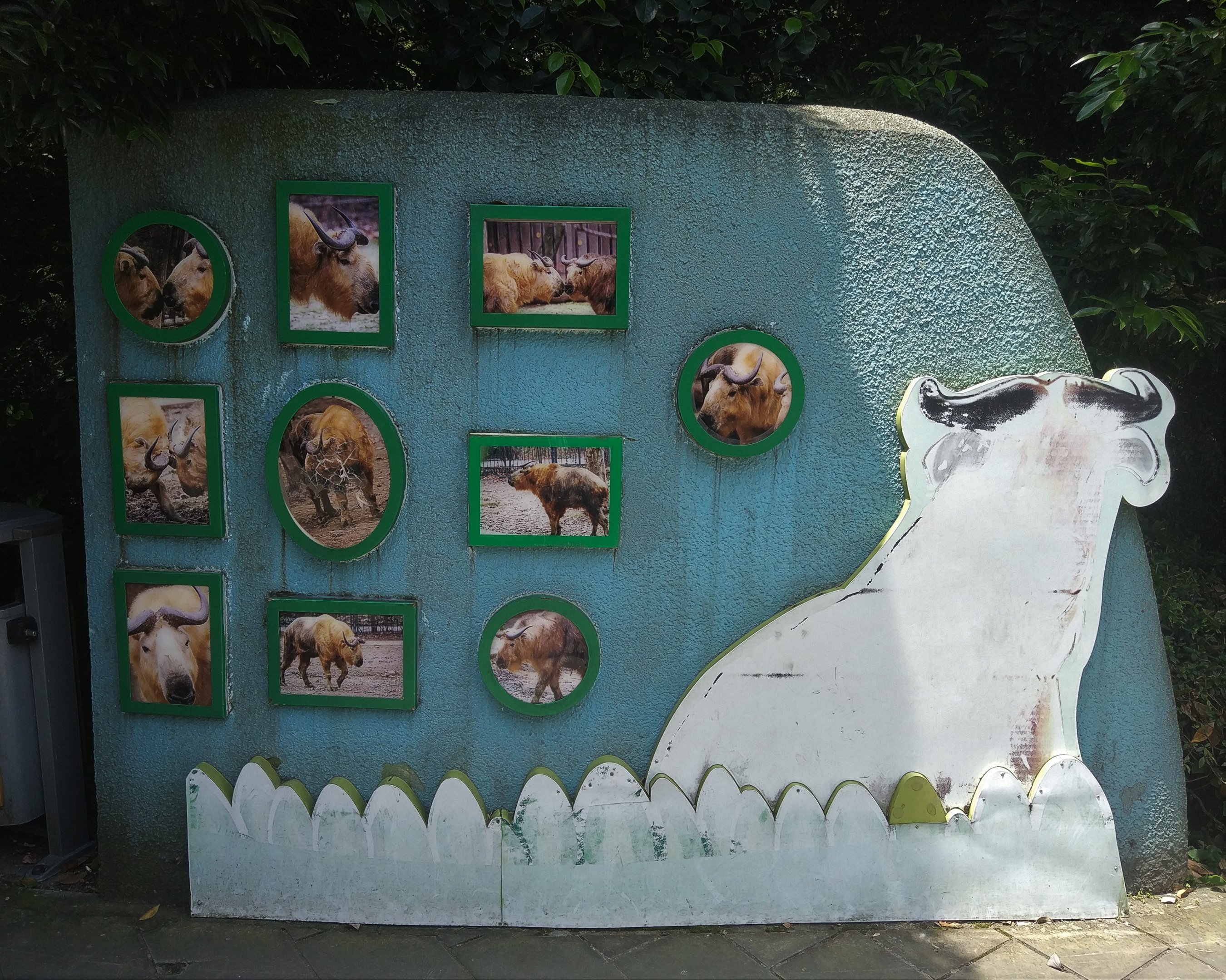 Takin Interpretation