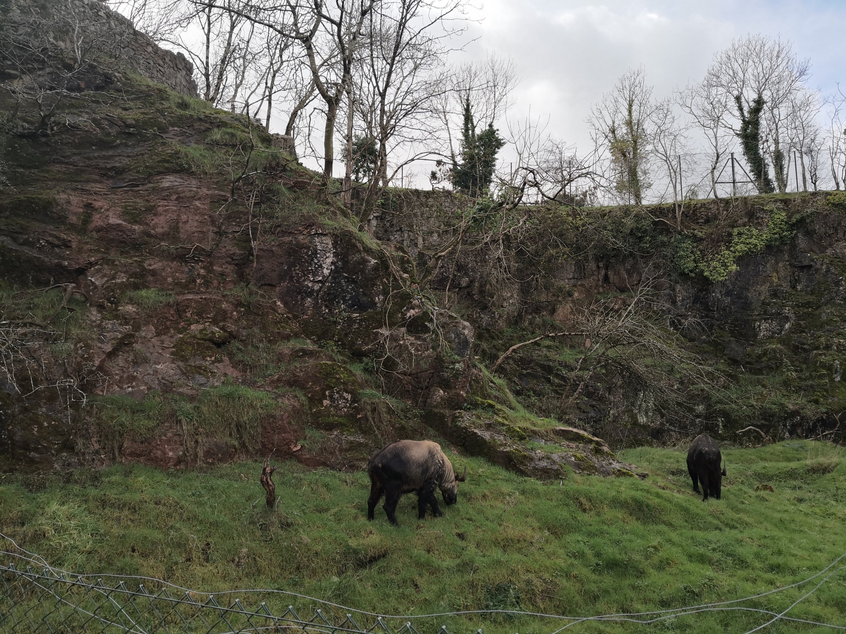 Takin Quarry, first view