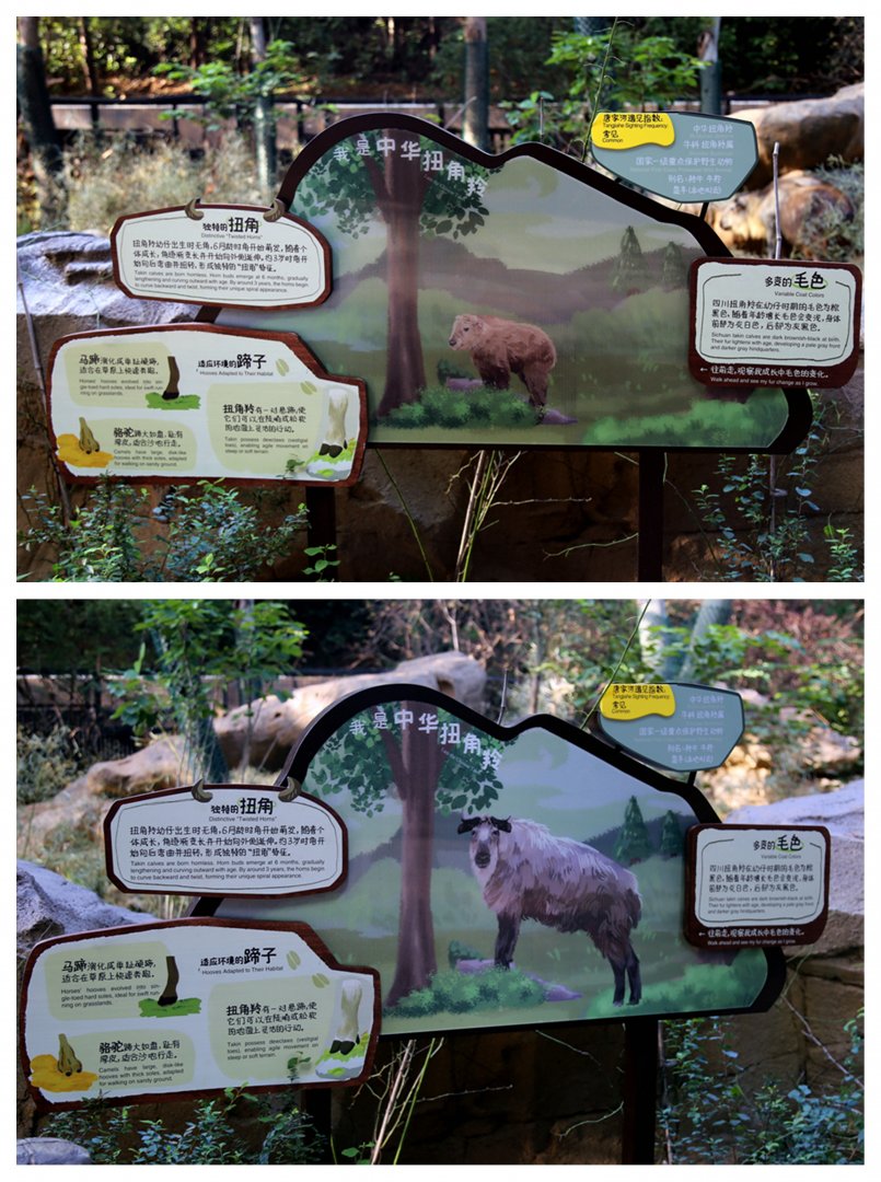 Takin Signage, From Different Angles