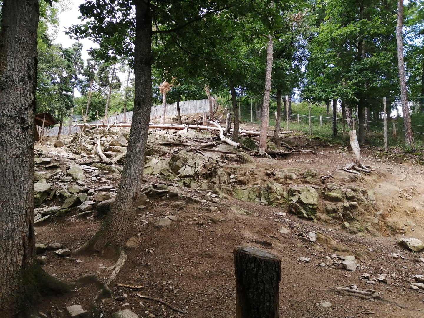 Takin valley with 3 subspecies