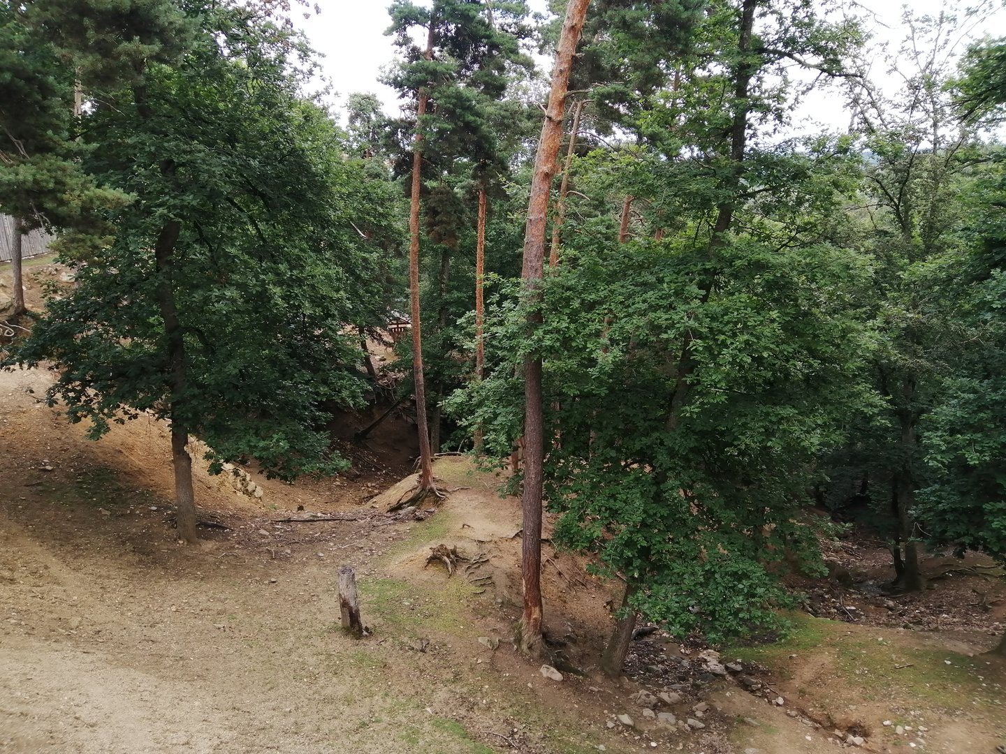 Takin valley with 3 subspecies