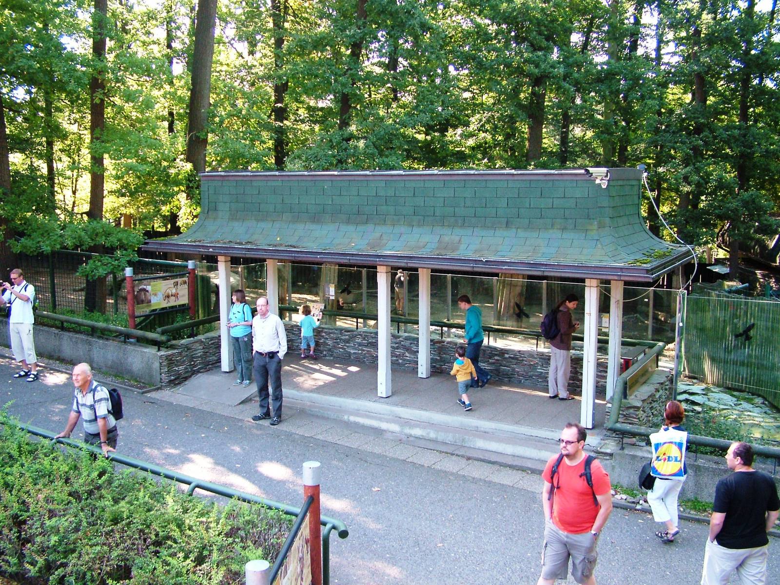 Takin Viewing at Liberec, 28/08/12