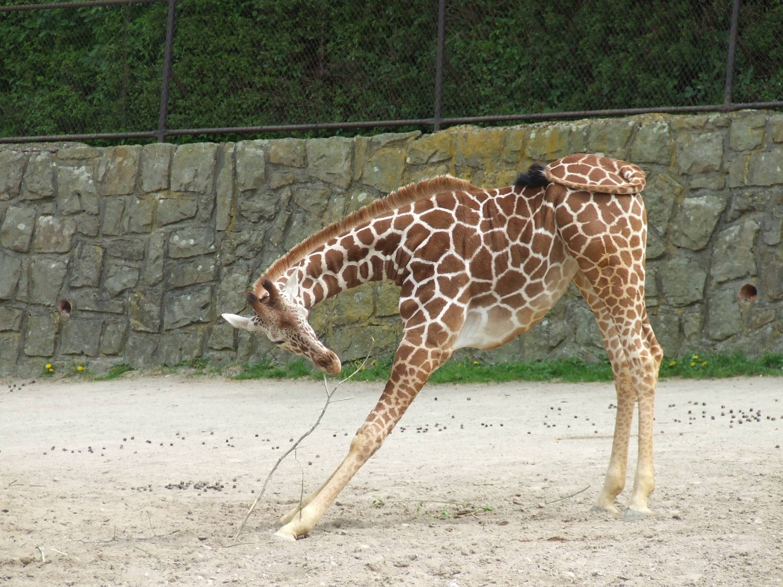 Taking exercises in order to eating