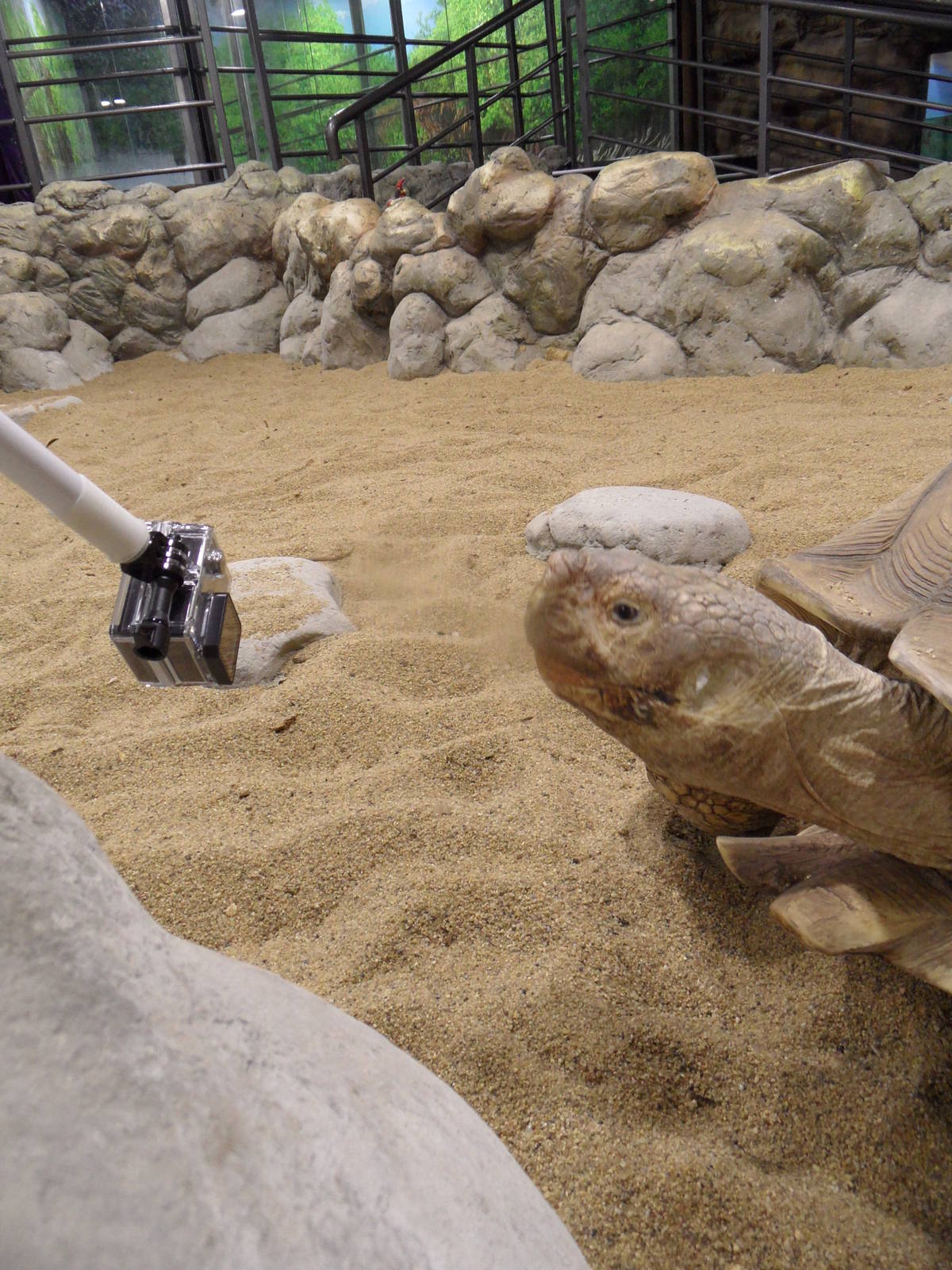 Taking pic with selfie stick