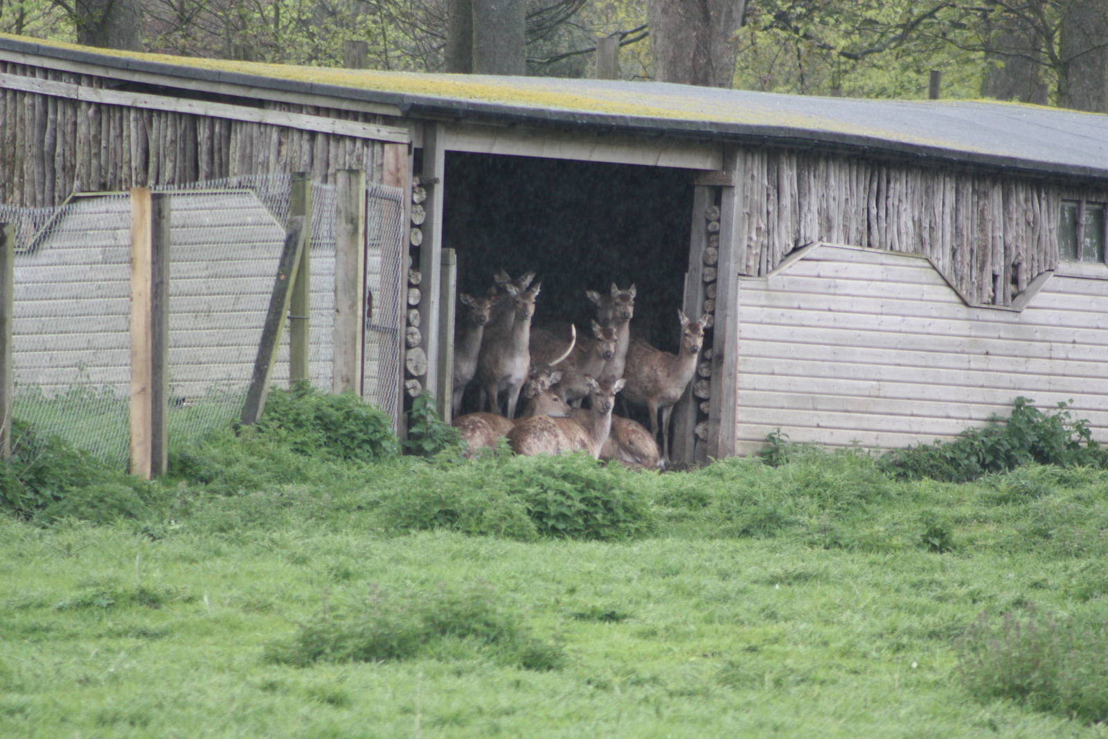 Taking shelter, 11th May 2014