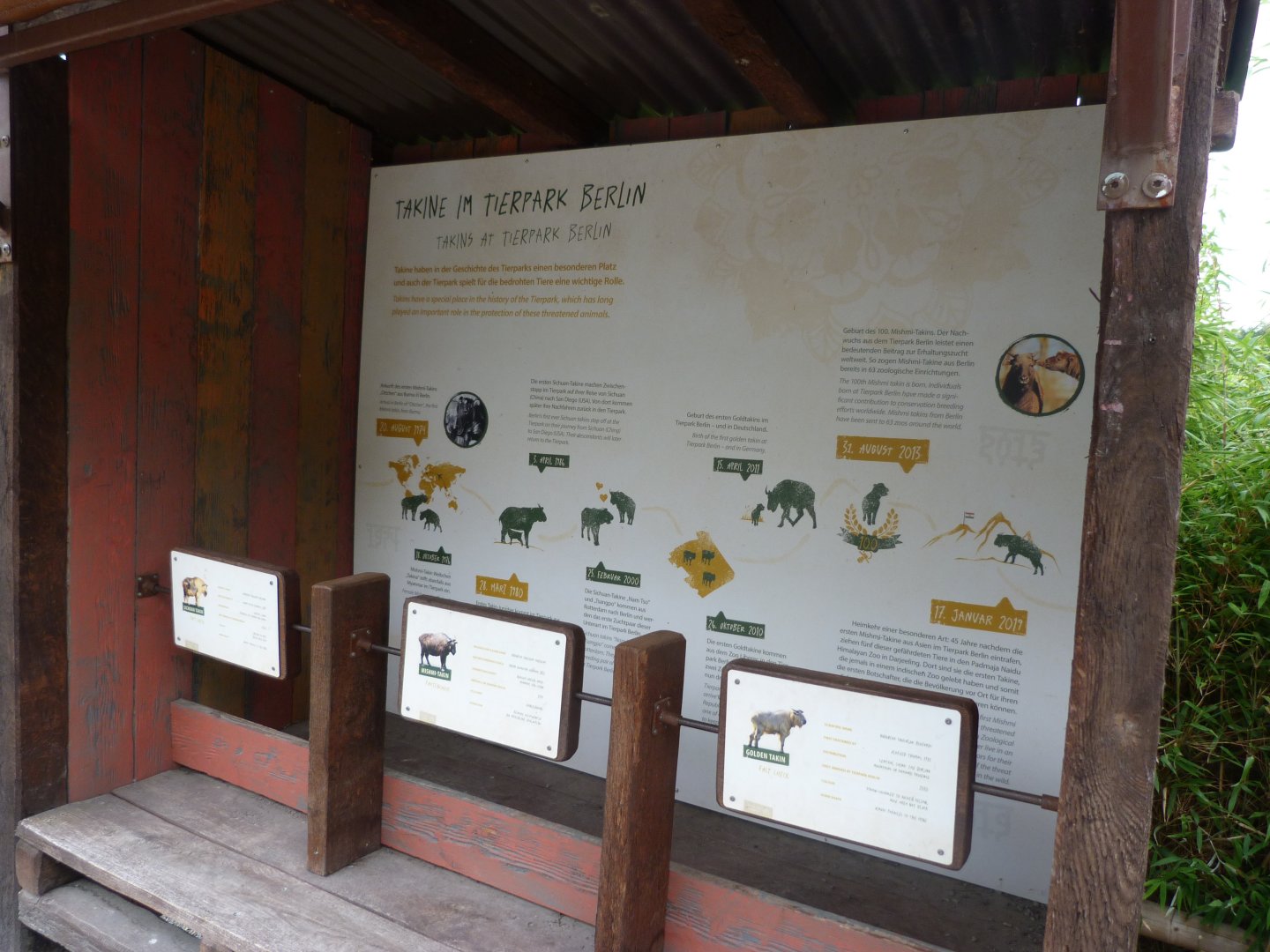 Takins at the Tierpark signs -Tierpark Berlin (2024)