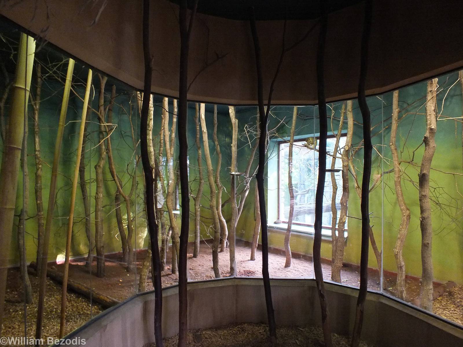 Talapoin Indoor Enclosure