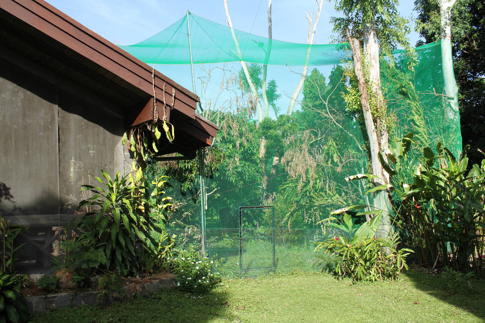 Talarak Rescue Center Prerelease and Rehab Aviary