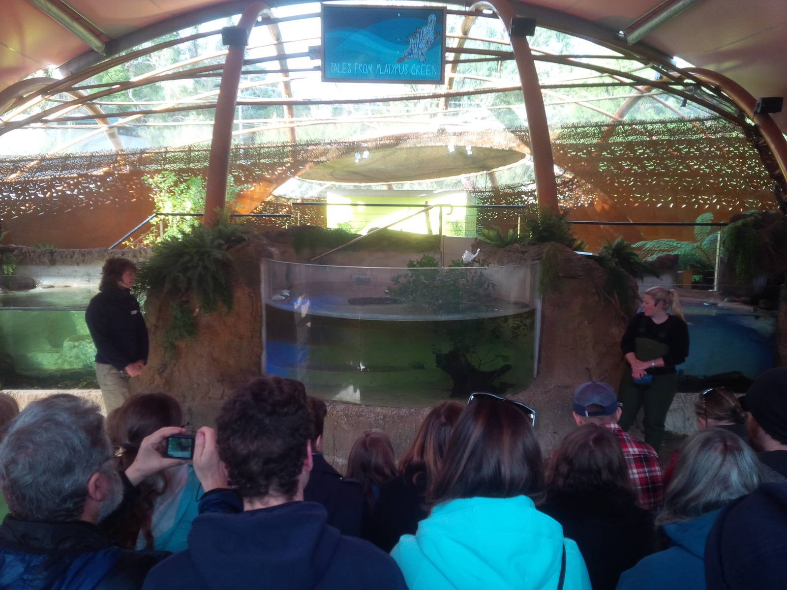 Tales from Platypus Creek