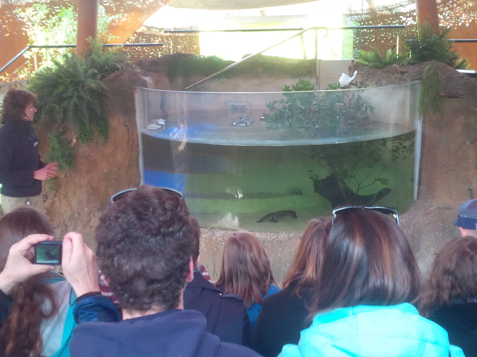 Tales from Platypus Creek