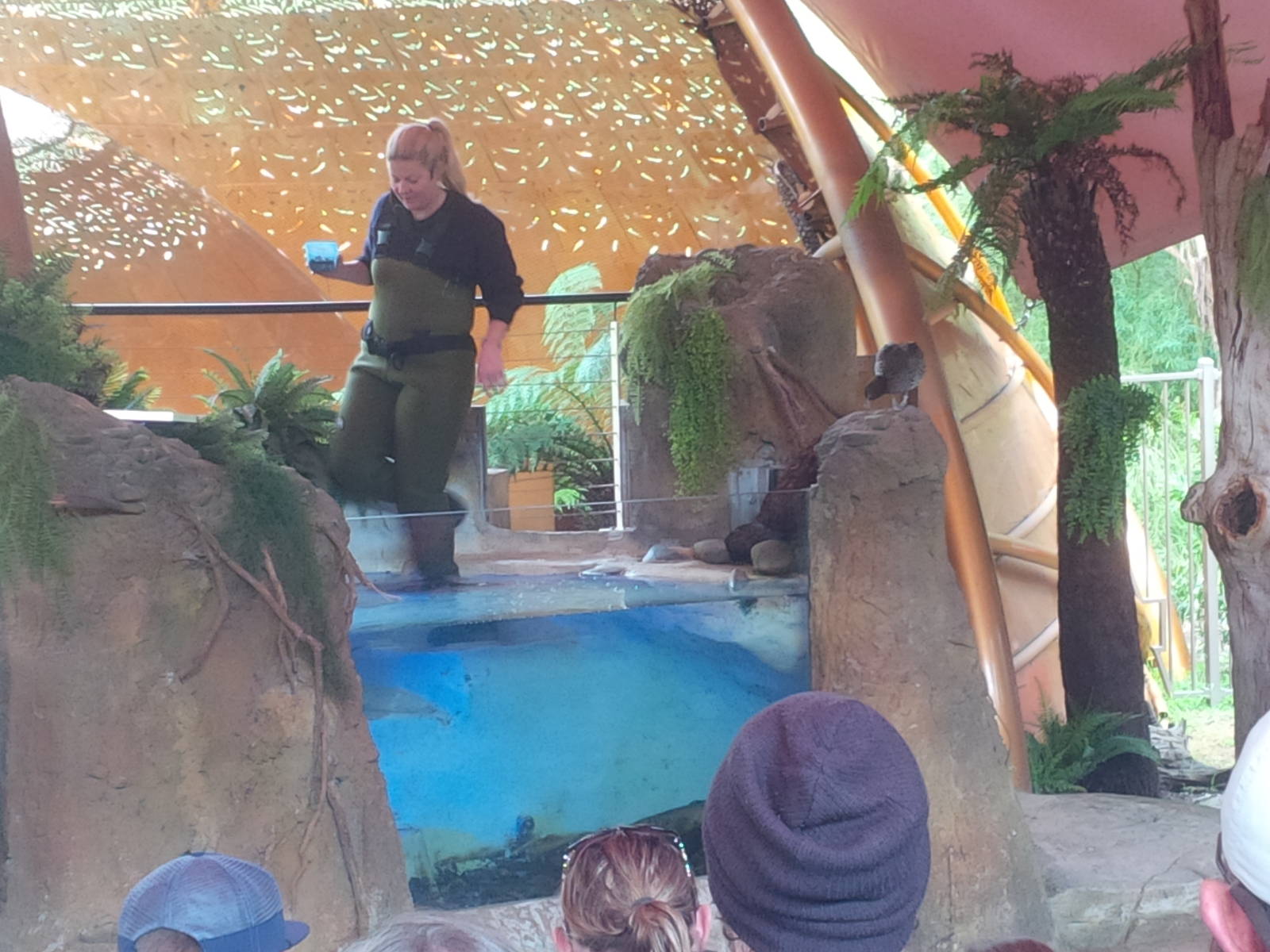 Tales from Platypus Creek