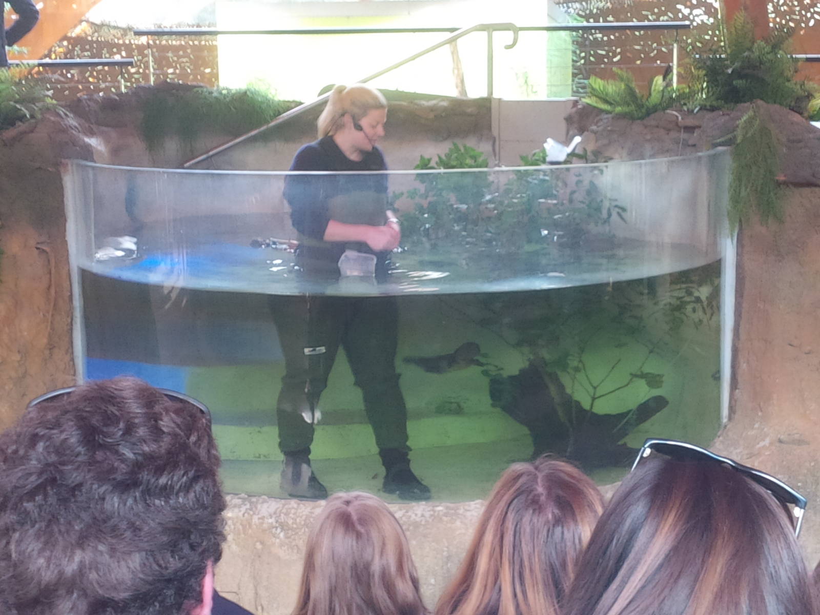 tales from Platypus Creek