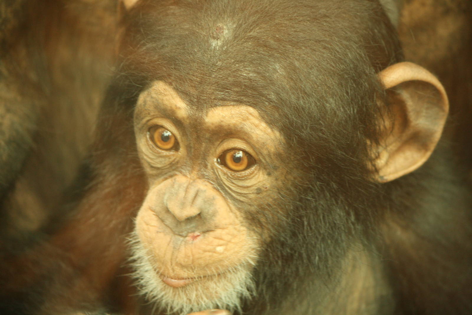 Talia - 30 July 2010