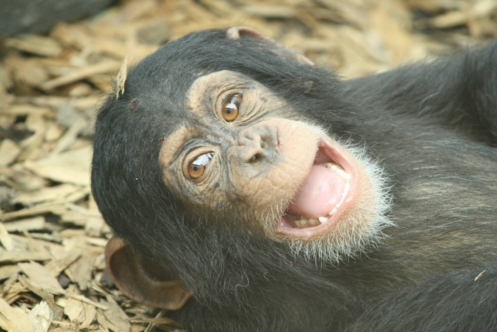 Talia - 30 July 2010