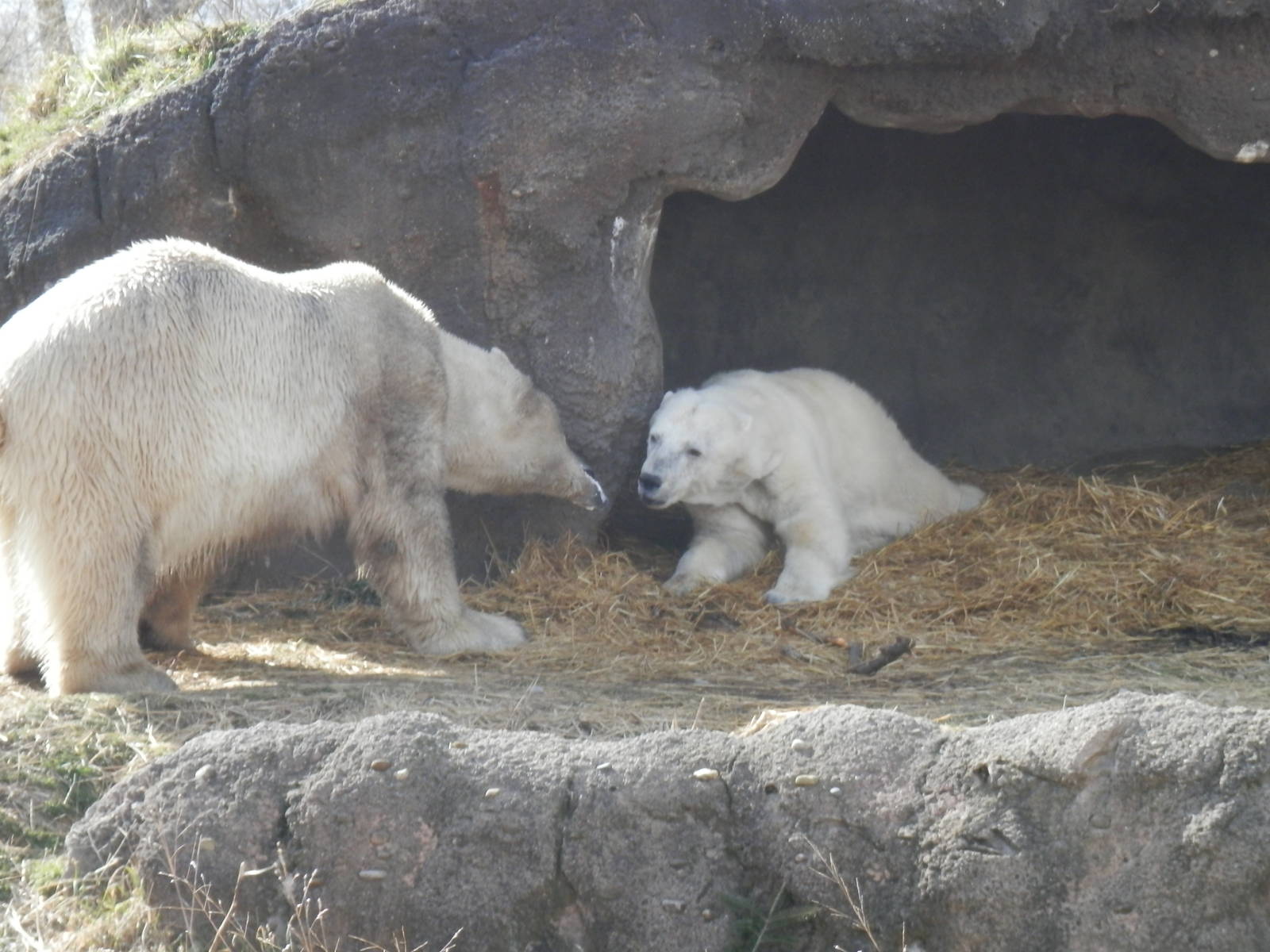 Talina telling Nuka "You can't come in!"